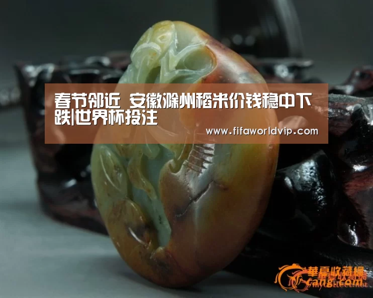 世界杯买球网站