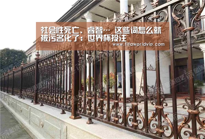 社会性死亡、睿智… 这些词怎么就被污名化了:世界杯投注(图3) 世界杯外围买球官网