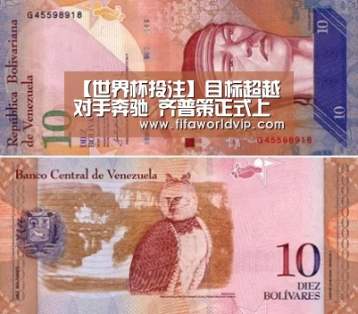 【世界杯投注】目标超越对手奔驰 齐普策正式上任宝马CEO(图2) 世界杯买球网站