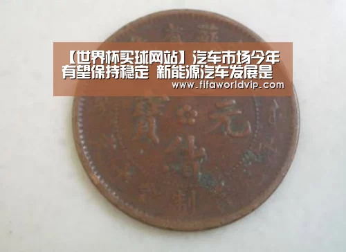 【世界杯买球网站】汽车市场今年有望保持稳定 新能源汽车发展是