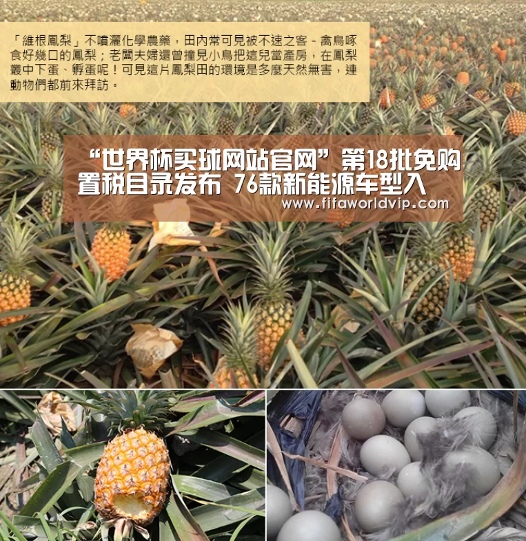 “世界杯买球网站官网”第18批免购置税目录发布 76款新能源