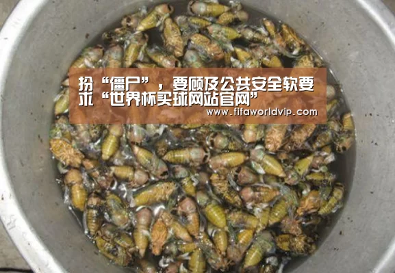 世界杯投注