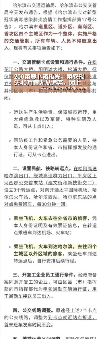 200亩萝卜被拔光,菜农损失40万竟无从追究,网上谣言真可怕!_世界杯买球网站官网(图4) 世界杯投注