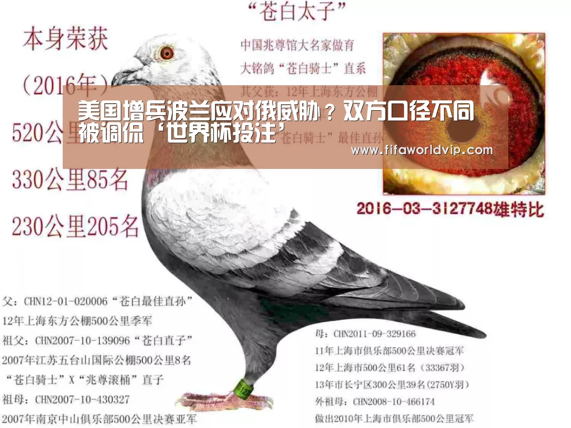 美国增兵波兰应对俄威胁?双方口径不同被调侃‘世界杯投注’(图4) 世界杯外围买球官网