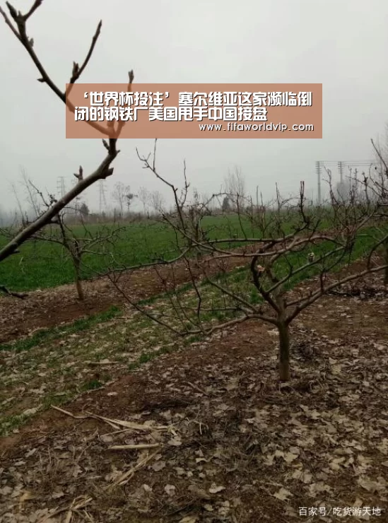 ‘世界杯投注’塞尔维亚这家濒临倒闭的钢铁厂美国甩手中国接盘
