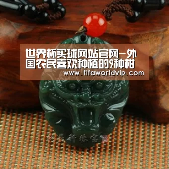 世界杯买球网站官网