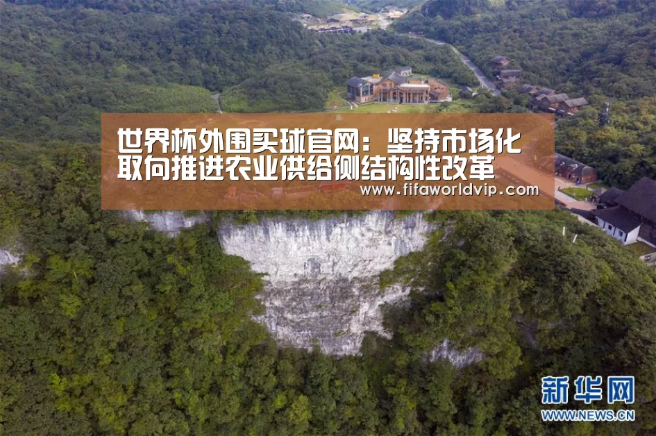 世界杯外围买球官网:坚持市场化取向推进农业供给侧结构性改革(图3) 世界杯投注